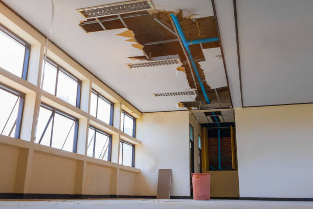 Best Carpet water damage restoration  in Flowing Wells, AZ