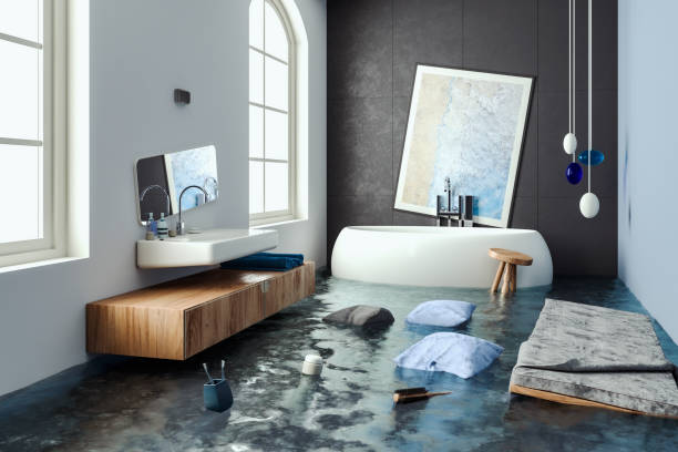 Carpet water damage restoration in Flowing Wells, AZ