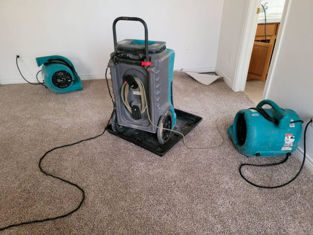 Best 24/7 water damage repair  in Flowing Wells, AZ
