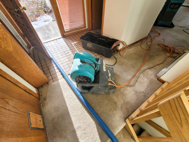Best Water damage restoration near me  in Flowing Wells, AZ