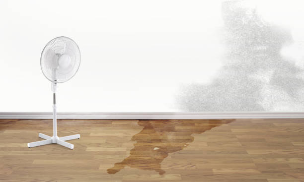 Best Commercial water damage restoration  in Flowing Wells, AZ