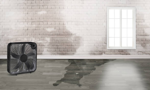 Flowing Wells, AZ Water damage restoration Company