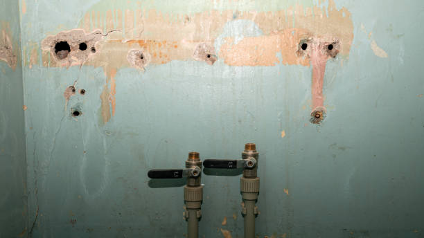 Best Fire Damage Restoration  in Flowing Wells, AZ