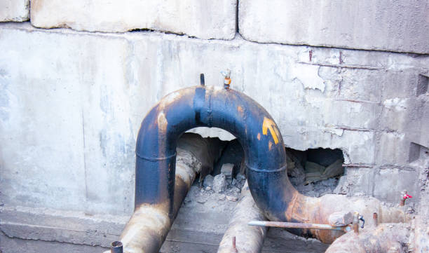 Best Flood restoration services  in Flowing Wells, AZ