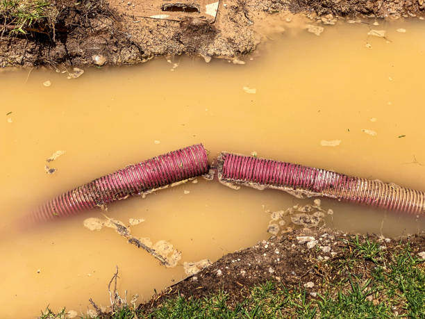 Trusted Flowing Wells, AZ Water damage restoration Experts
