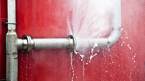 Best Ceiling water damage repair  in Flowing Wells, AZ
