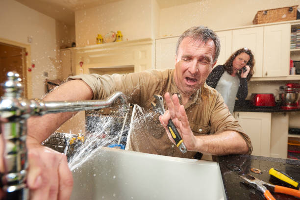 Best Basement water damage restoration  in Flowing Wells, AZ